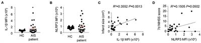 Temporal and Spatial Dynamics of Inflammasome Activation After Ischemic Stroke